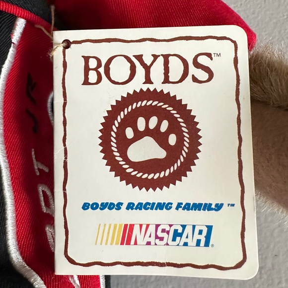 DALE EARNHARDT JR ( 8 ) NASCAR - COLLECTORS BOYDS BEAR - Picture 12 of 12